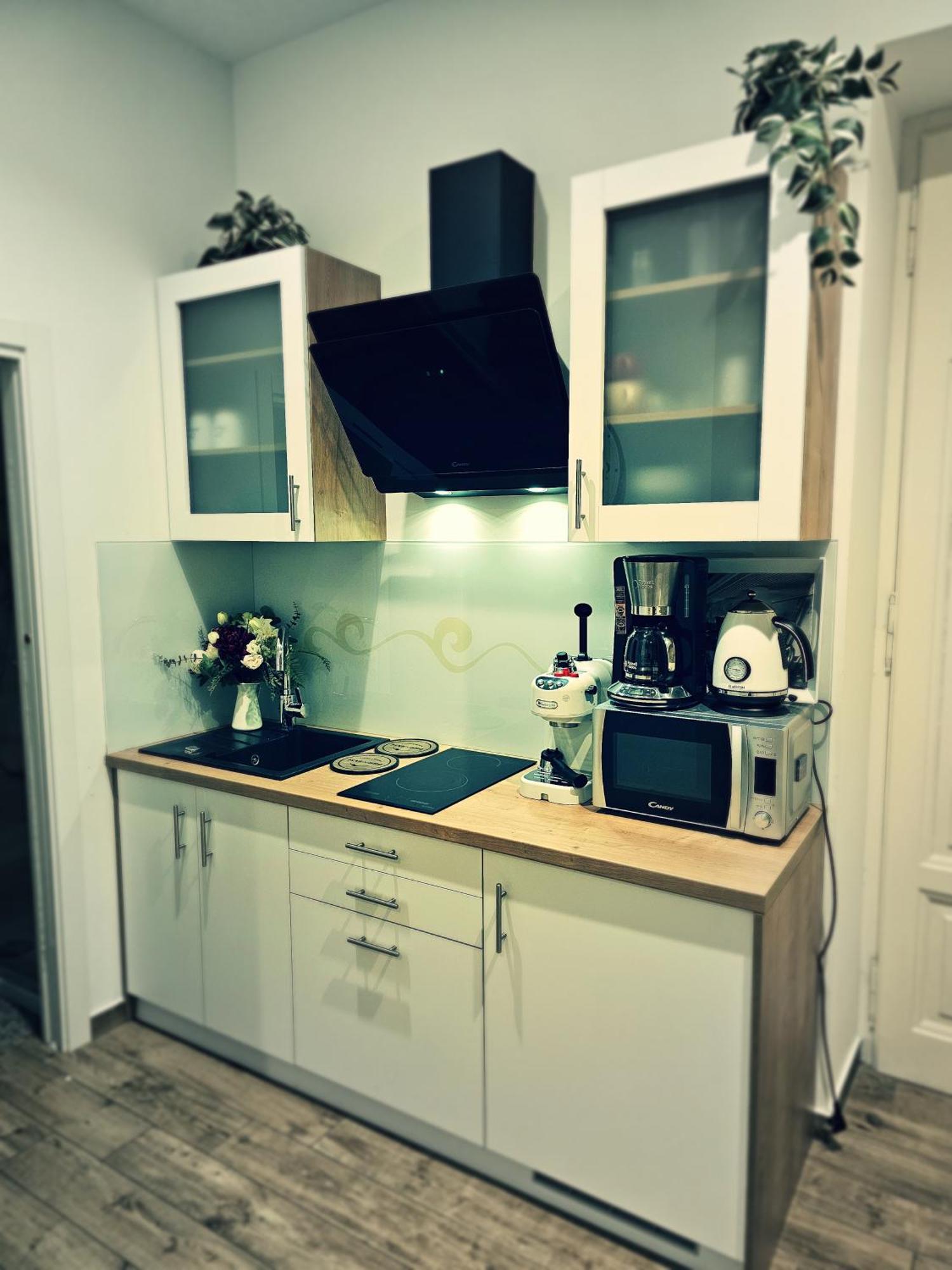 Studio Apartman Villa Gianna Lovran Εξωτερικό φωτογραφία