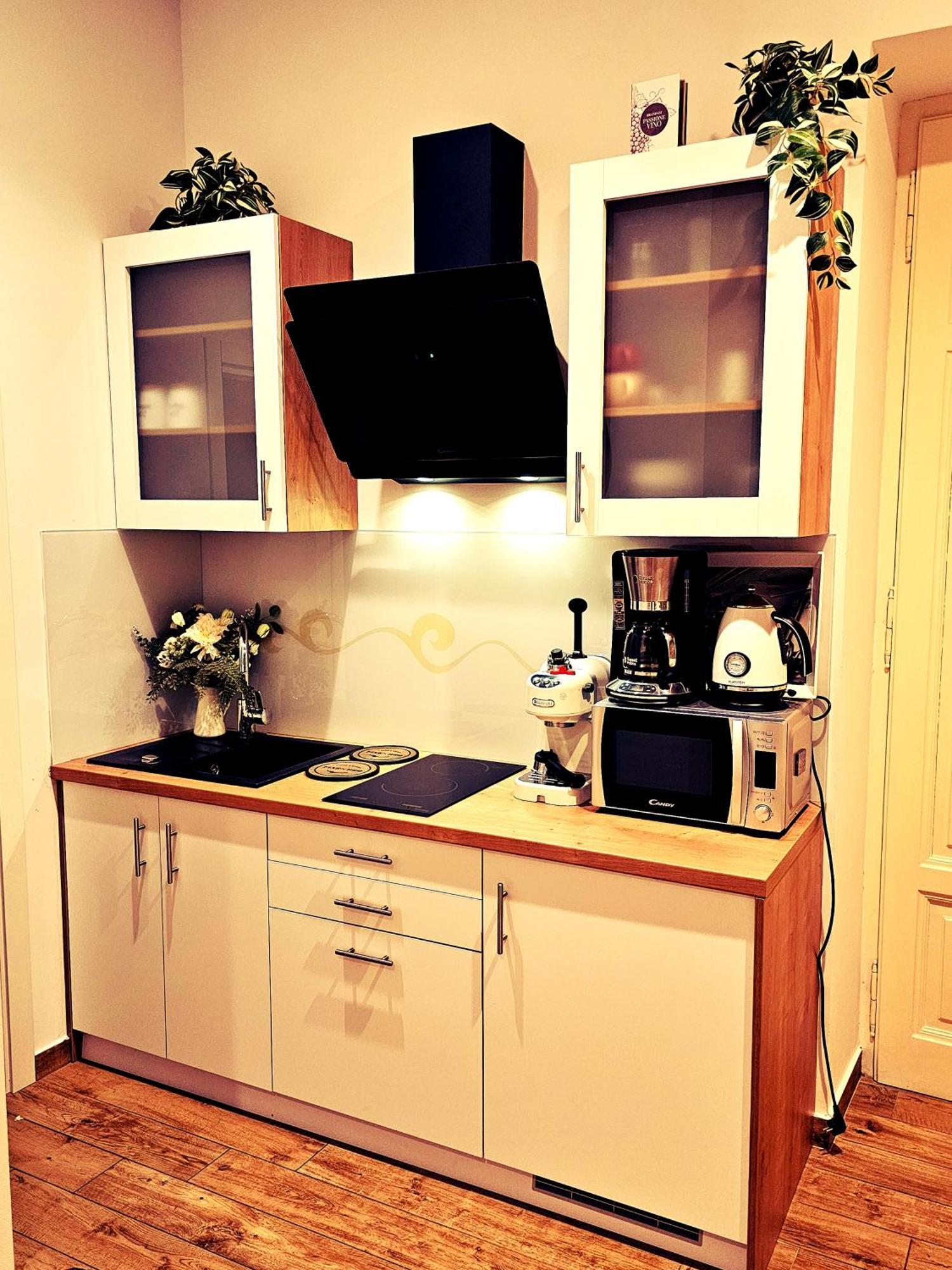 Studio Apartman Villa Gianna Lovran Εξωτερικό φωτογραφία