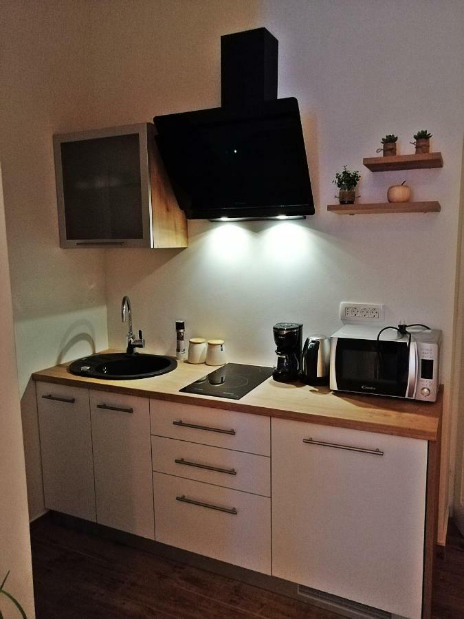 Studio Apartman Villa Gianna Lovran Εξωτερικό φωτογραφία